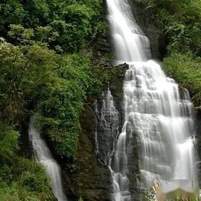 西瓜地逃生